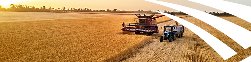 agex-product-header-grain