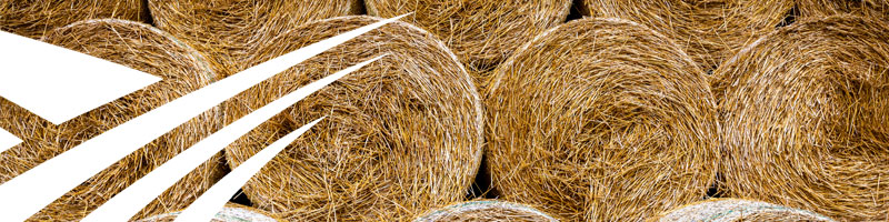 agex-product-header-hay